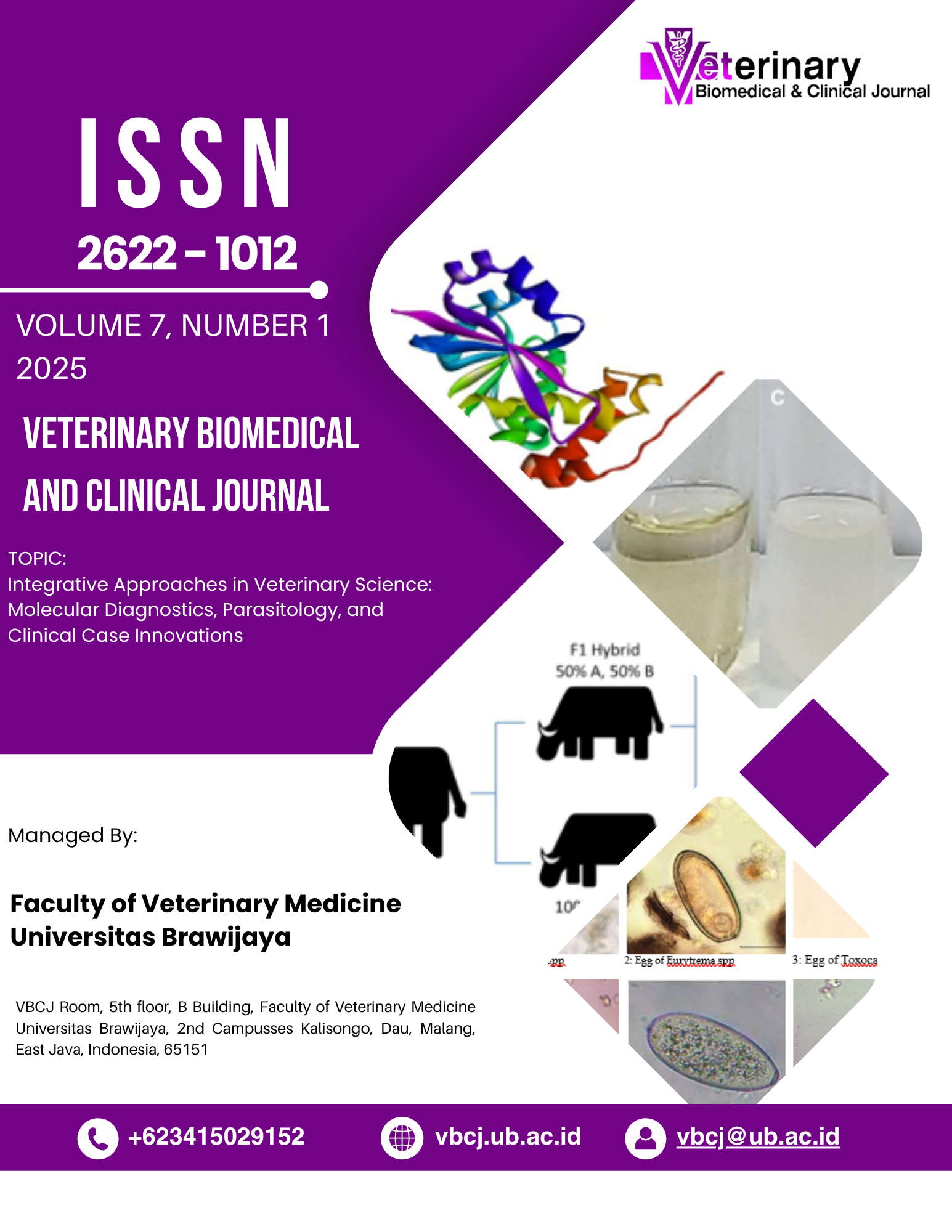 						View Vol. 7 No. 1 (2025): Vol. 7 No. 1 2025
					